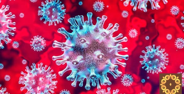 Is it possible to disarm the coronavirus?